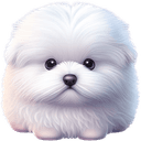 Benji Logo